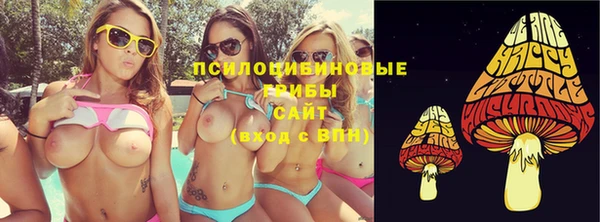 гашик Алзамай