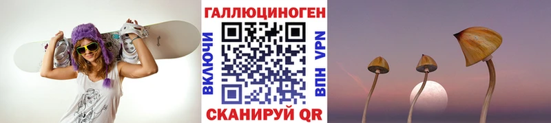 мориарти Telegram  гидра как войти  Артёмовский  Псилоцибиновые грибы мухоморы 